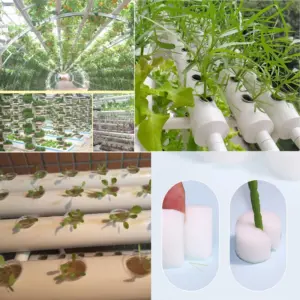Hydroponic Grow Pots with Nursery Media Set 13 S14fad1abf29441e68c503ead0225e9ffM