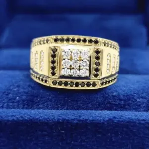 S14fda0e209aa4ac2b6288f16f76252bdP