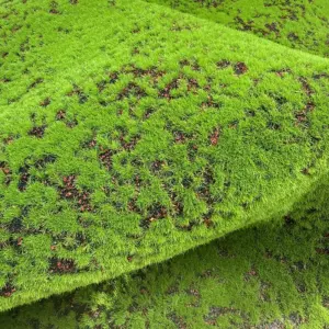 Miniature Wetland Moss & Turf Model 10x10cm 8 S151be63c47d1403b9653c0fa82242449E