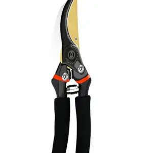 S15d6ca7643bc45cca0e14d3830bbcbd99