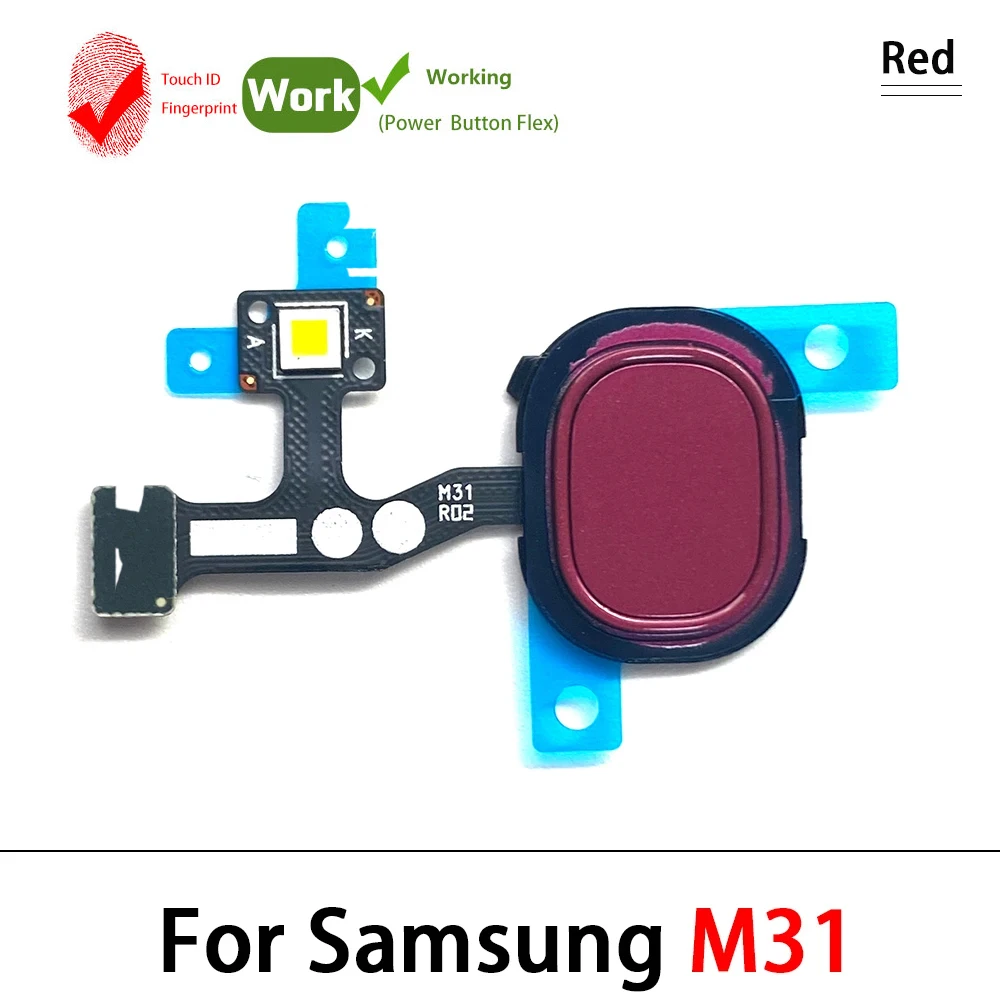 Samsung Galaxy M14 5G Home Button Flex Cable 2 Samsung Galaxy M14 5G Home Button Flex Cable - Image 2