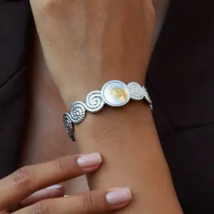 S17251c8b0bdb488085a4c98dc4e2b181A