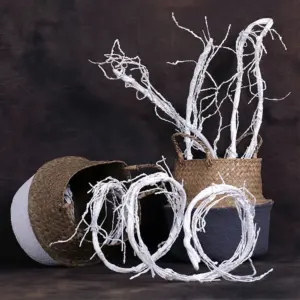 S179ac84e28d3464cbba0c944592ab363n