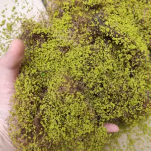 Realistic Miniature Hay Scene Model in 12 Colors 19 S1865cb08fbd04a11bf7163b0fd8ccea8y