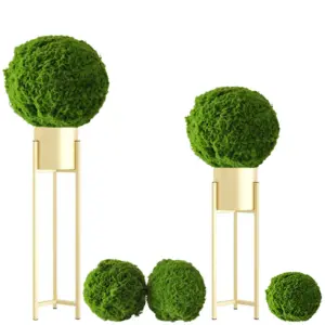 S19032873d9d24684b206acc5adcc57b7n