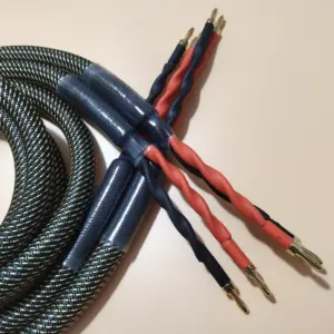 S1937424224414bcda1b93456409a530fH