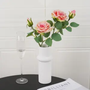 S199522473a9d4c1a8aa50b886d428c80E