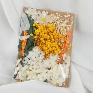 S19a02f24e6d44016b240e9776cbcb061n