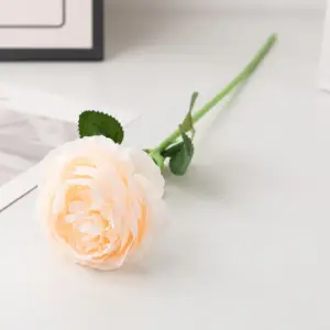 S1abf842ed6df4ffabce818113771c0e0m