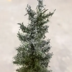 Realistic Snow Powder for Miniature Scenes 12 S1c0e8fe5ff35476ab8ee401368c553ebk