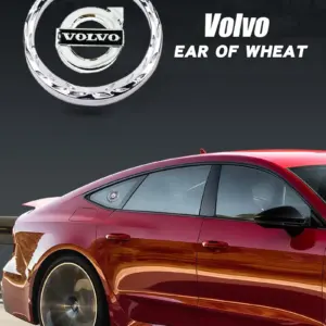 S1c3c872359754b8fb288f856e16ff16fI