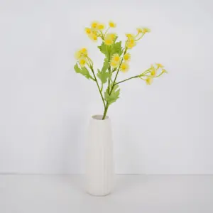 S1cca253742884a27b4ca1dd44db0f08cY