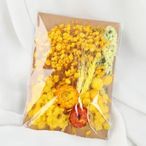 S1dfc71ab66a14390a14edee4741ce5863