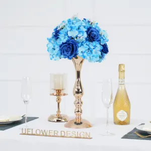 S1e26c5210afa4031b809ec2588c5e539C