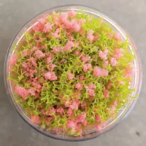 Vibrant Miniature Landscape Foliage Material 16 S1f2a16f25d4349cc997567c813dd0f32P