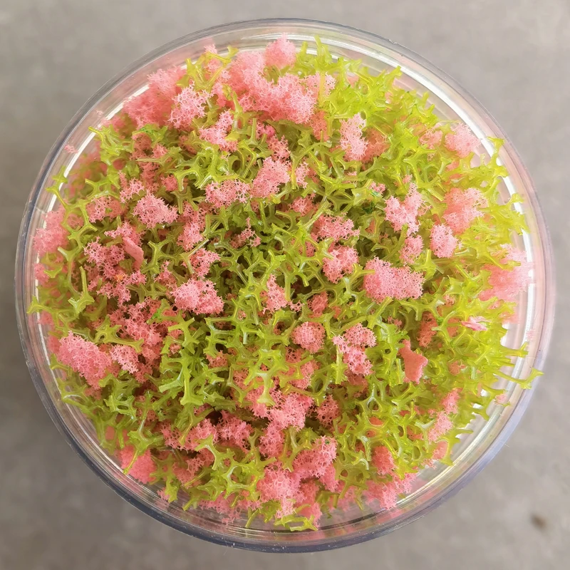 Vibrant Miniature Landscape Foliage Material 7 Vibrant Miniature Landscape Foliage Material - Image 7