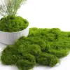 Vibrant Artificial Moss for Crafts and Decor