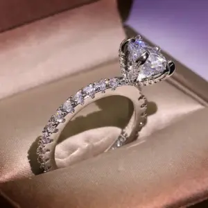 S21ff17f4728442adb4529421c0bddb1cE