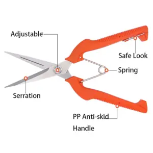 S222dbcaa7c9343a28e954ac913f9f537u