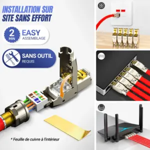 S229ac26a9b1e411fb12822b4ed8ac3efs