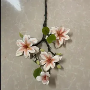 S22f7973165ad4cc899baa7aeb86c99e4z