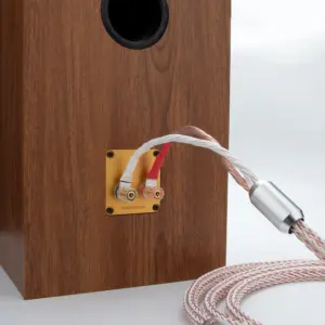 S2305572ecfd74d6eadbd68f46ae7394fe