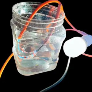 S233752043f8d43b08e4784dbff27268cg