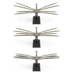 S2367a4f6bd2940a2a961de1ec5ffb17f0