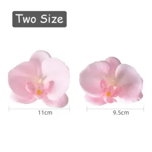 S243ad5dd32a94a95b1b418019b8bba77g