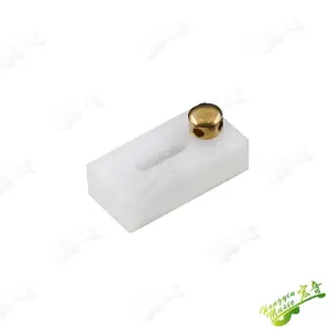 S24458077456e4d87a732c418126e119e0