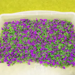 Vibrant Artificial Tree Powder for Models 12 S245beef77d9141989882f27c07e23a00k