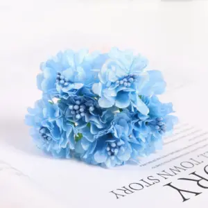 S24a15b67b4df4d14bfbbe8d6ce92160aA