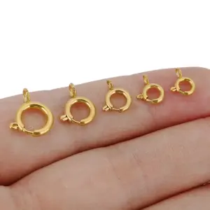 Stainless Steel & Gold Spring Clasp Set for Jewelry 12 S25c06580e1074c149849b38997974275p