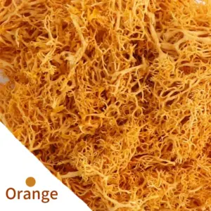 S262d7a158ffd426c901079a727b541868