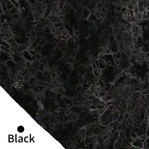 S26a9f37557a544ecb51c3daed70eab076