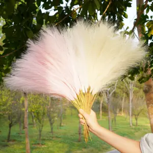 S2989c0bab30b4eae84657820035818a73