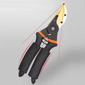 S298e554d47f14200a036d31b1d4d3acfb