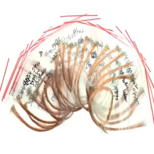 S299367aba35741ceba312137c3dbf61fh