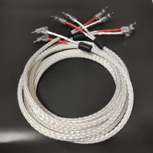 S2a1a6375399049a6bf720085122c62e2d