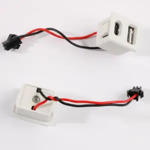 Dual USB Power Socket with Type-C & A Ports 12 S2af755ef9d4c4109b6995f296b430be71