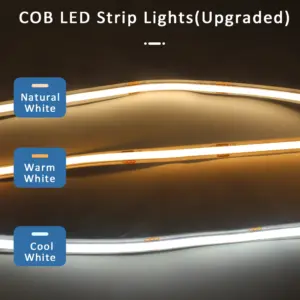 S2b72ea62a2594b28ac116467a3ee1527r