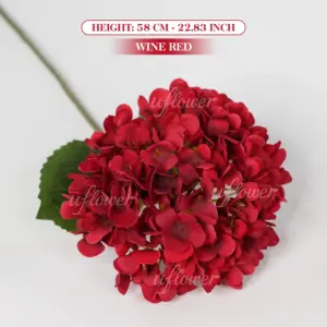 S2b7f0b0f65ad4781a781733ef38e0b3cb