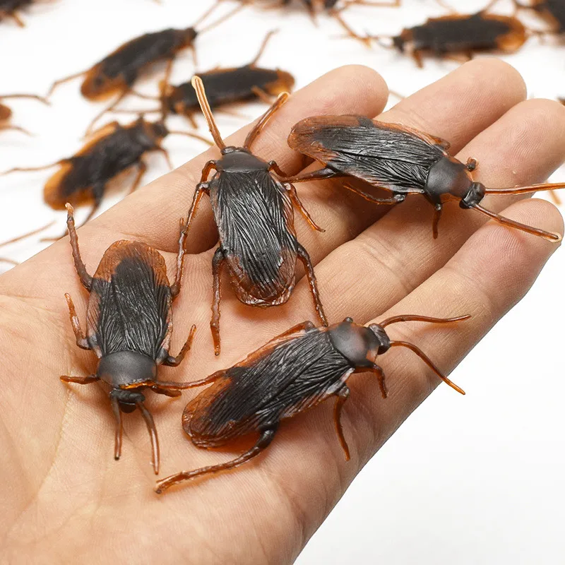 Realistic Plastic Cockroaches for Pranks (Set of 5-50) 2 Realistic Plastic Cockroaches for Pranks (Set of 5-50) - Image 2