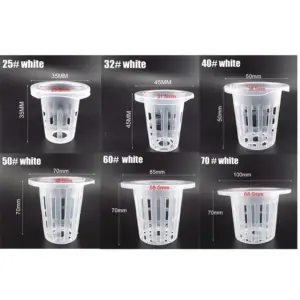 S2be310d4f58b4c899ee16bf19bc9e96ch