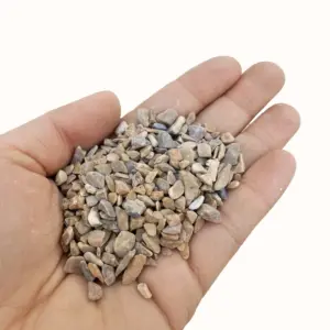 S2d2520704091478f942fdaec888faa95T