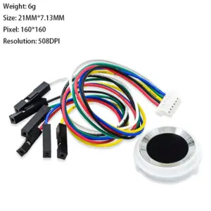 S2daff3f1034641af96ed29cf0b06ca91L