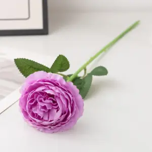 S2e771a2c20c247d1afbed07eb437e4893