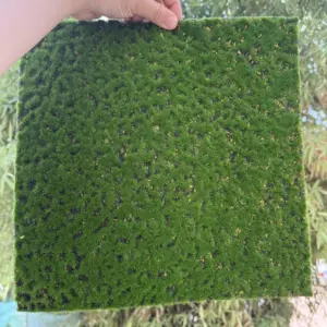 Miniature Wetland Moss & Turf Model 10x10cm 13 S2ec13351ffdd408ca496c8d247b715a3J