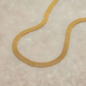 Stainless Steel Gold Mesh Necklace for Women 10 S30b266cfb854429fb04801d105712858a