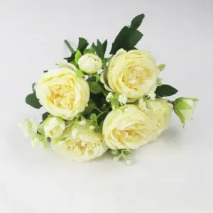 S30b2b0c48fb94529ba9825907395613dl